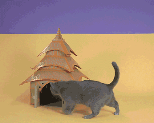 cardboard cat dwellings replicate architectural landmarks from around the world