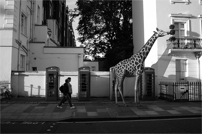 ceslovas-cesnakevicius-wild-animals-zoo-street-designboom-01
