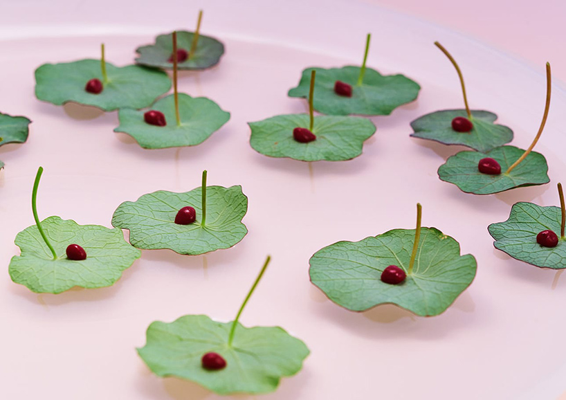 formafantasma LEXUS an encounter with anticipation milan design week