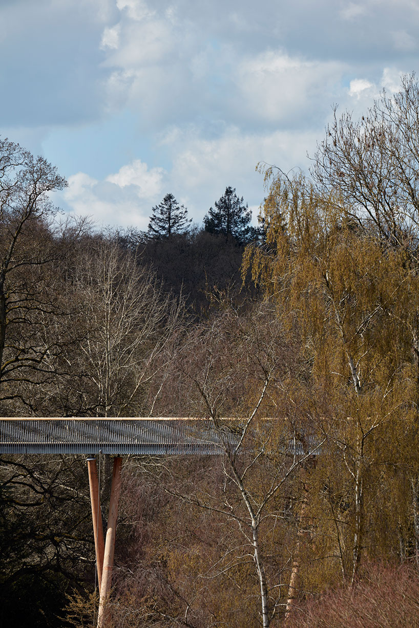 Treetop Walkway At Westonbirt Arboretum By Glenn Howells 3888