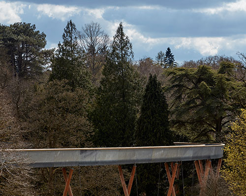 treetop walkway by glenn howells architects winds through westonbirt arboretum
