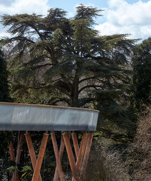 treetop walkway by glenn howells architects winds through westonbirt arboretum