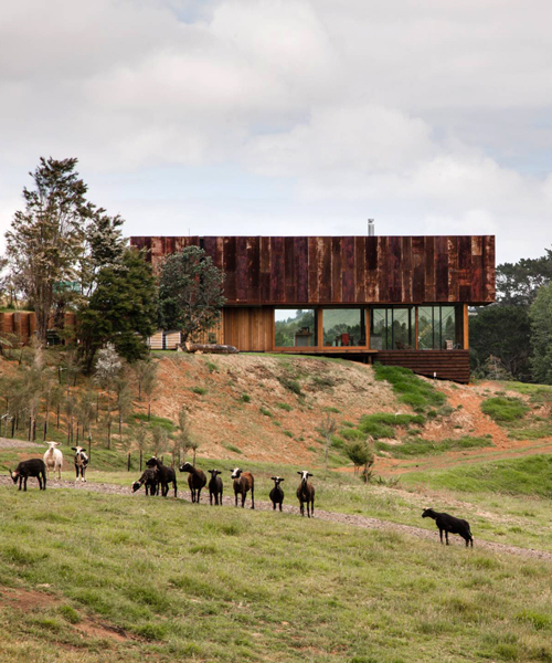 herbst architects builds K valley house in new zealand from recycled materials