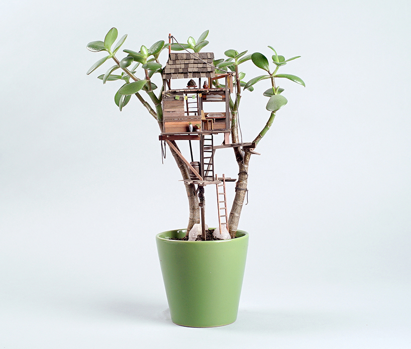 jedediah corwyn voltz builds tiny treehouses in succulent and cacti plants