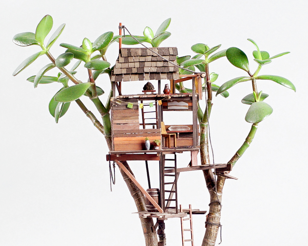 jedediah corwyn voltz builds tiny treehouses in succulent and cacti plants