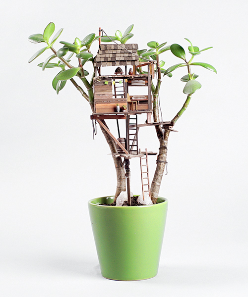 jedediah corwyn voltz builds tiny treehouses in succulent and cacti plants
