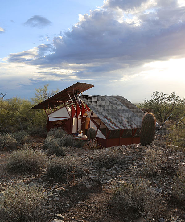 aixopluc develops a series of survival structures in the sonoran desert