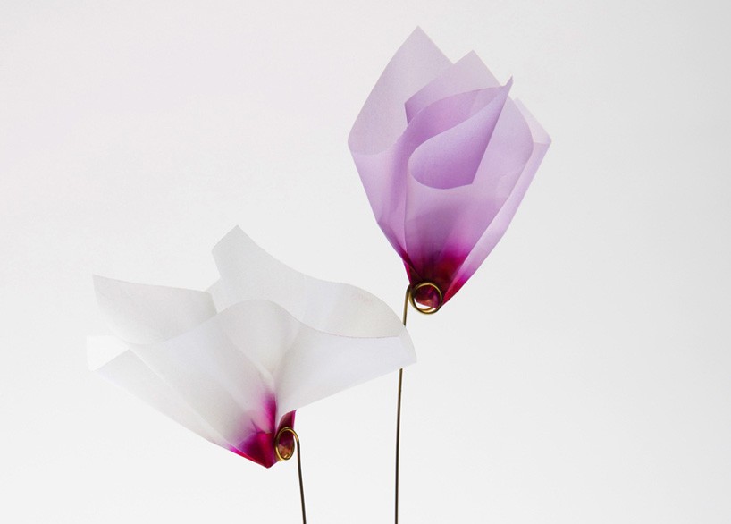 lukadesignboom01