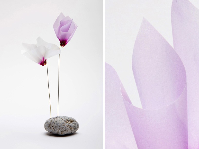 lukadesignboom02