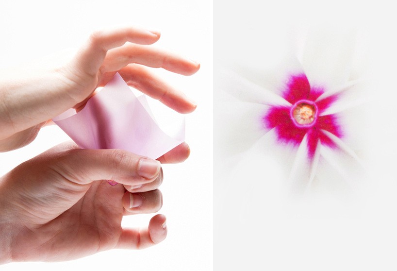 lukadesignboom03