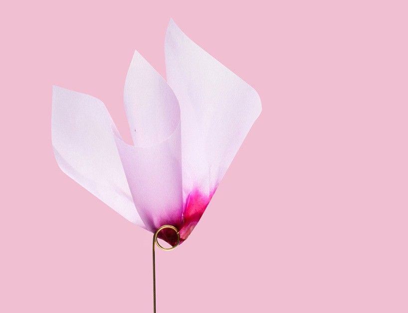 luka or explores the delicate line between artificial & natural in botanica