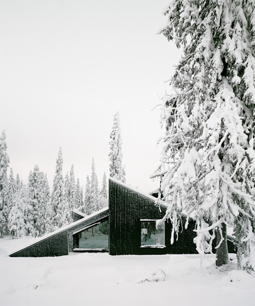 vardehaugen's cabin vindheim in norway appears to be buried beneath snow