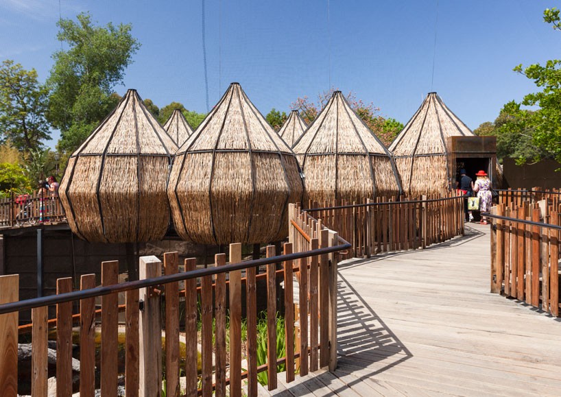 OLA nestles rattan-woven pods at melbourne zoo for immersive lemur exhibit