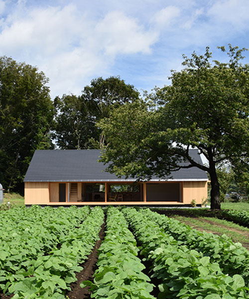 kikkawa architects + hisashi ikeda architects open house in atsugi to the japanese countryside