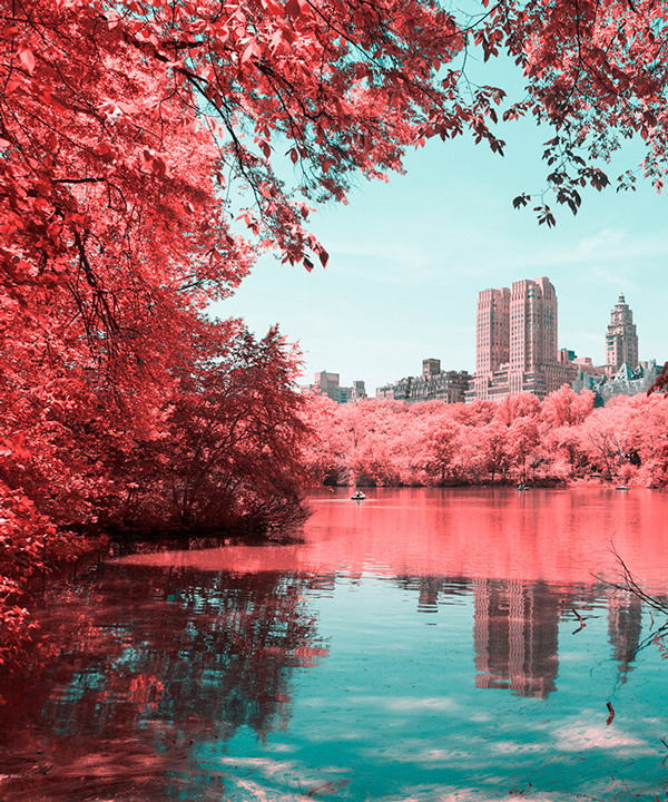 paolo pettigiani sees new york city's central park in pink and blue
