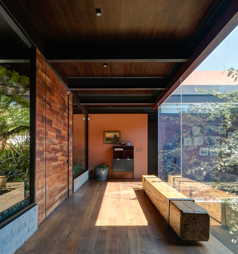 taller arquitectónica palme house guadalajara mexico taller arquitectónica palme house guadalajara mexico