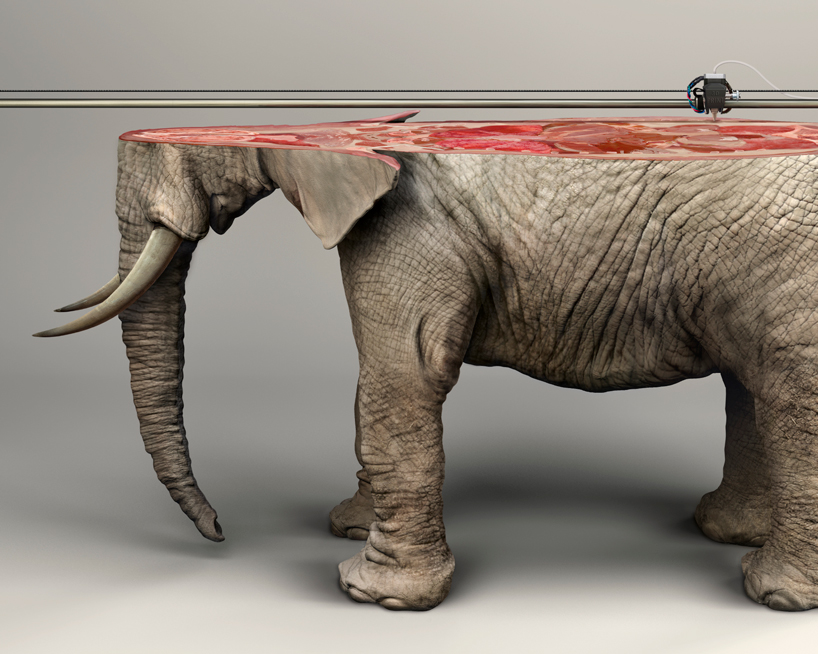 '3D printed' animals illustrate the irreplaceable nature of endangered species