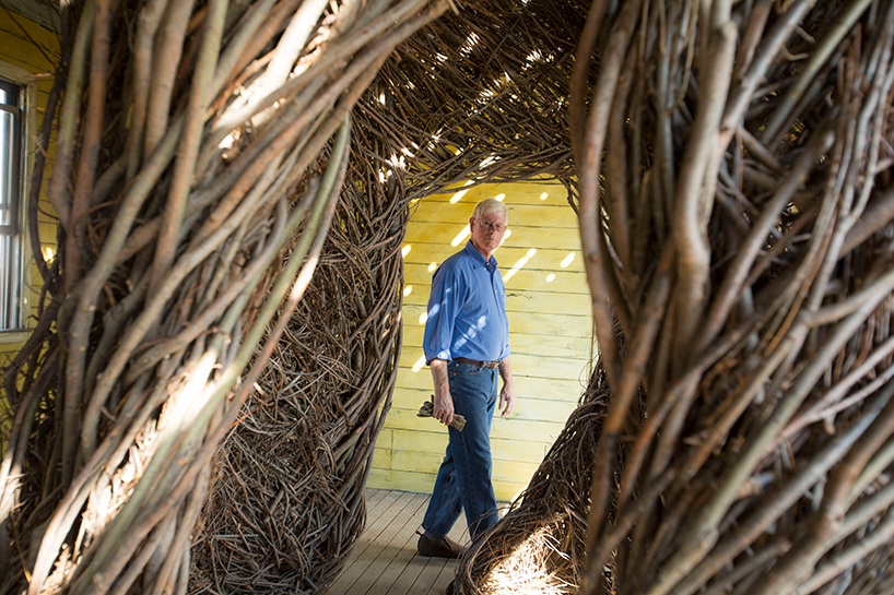 Patrick Dougherty