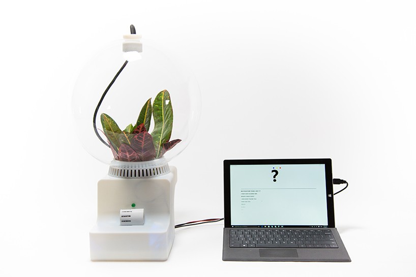 helene-steiner-project-florence-microsoft-research-designboom-02