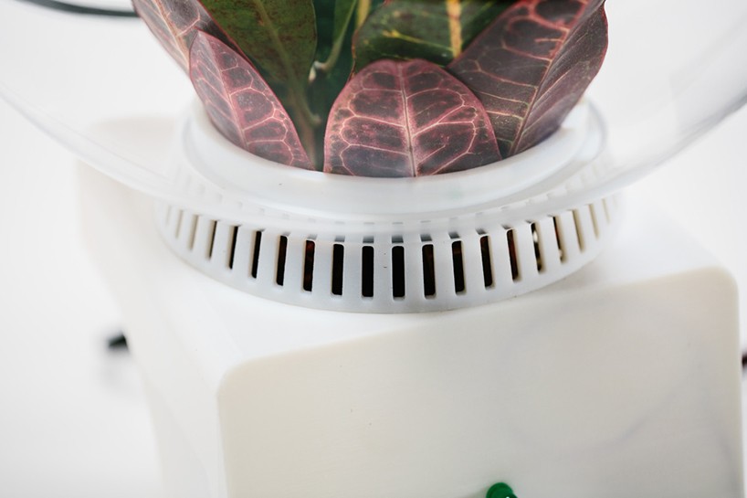 helene-steiner-project-florence-microsoft-research-designboom-04