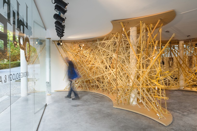 israeli pavilion showcases woven bird's nest structure at venice architecture biennale