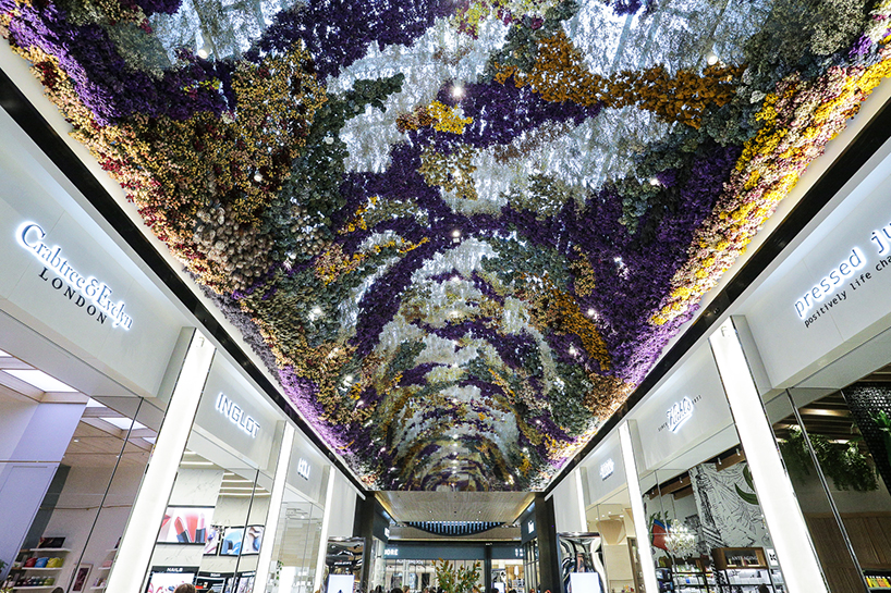 rebecca louise law suspends floral canopy in melbourne from 150,000 preserved blooms