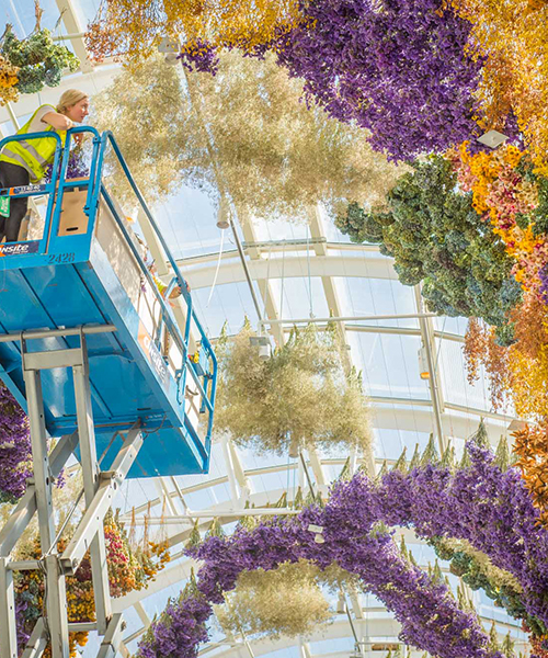 rebecca louise law suspends floral canopy in melbourne from 150,000 preserved blooms