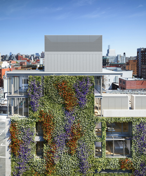 tadao ando's 152 elizabeth street in new york will include a monumental green wall