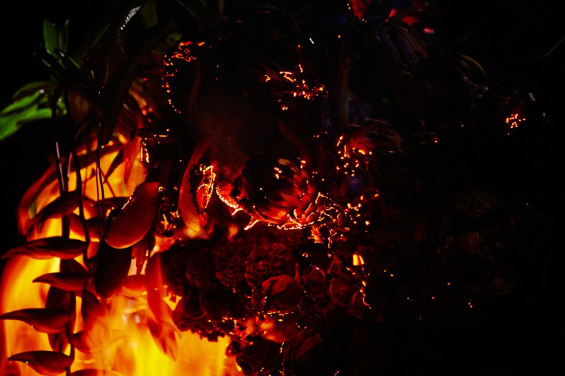 burning flowers azuma makoto designboom