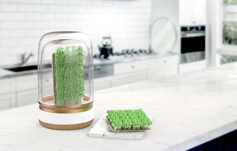 sprouts cultivation made simple with grow farming system by malgorzata blachnicka