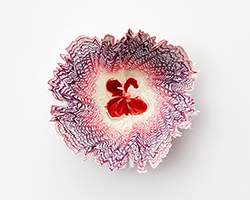 haruka misawa forms paper flowers from 'pencil' shavings