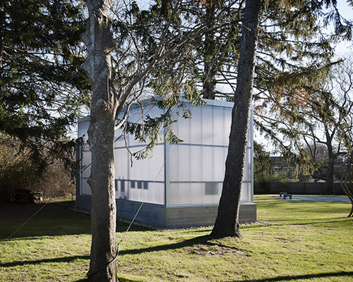 TBD architecture nestles couple's art studio into a tree line in new york