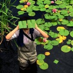 bake maeda's square flower and leaf art challenges nature's forms