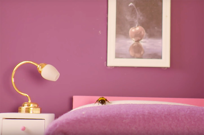 taylors of harrogate bee hotel