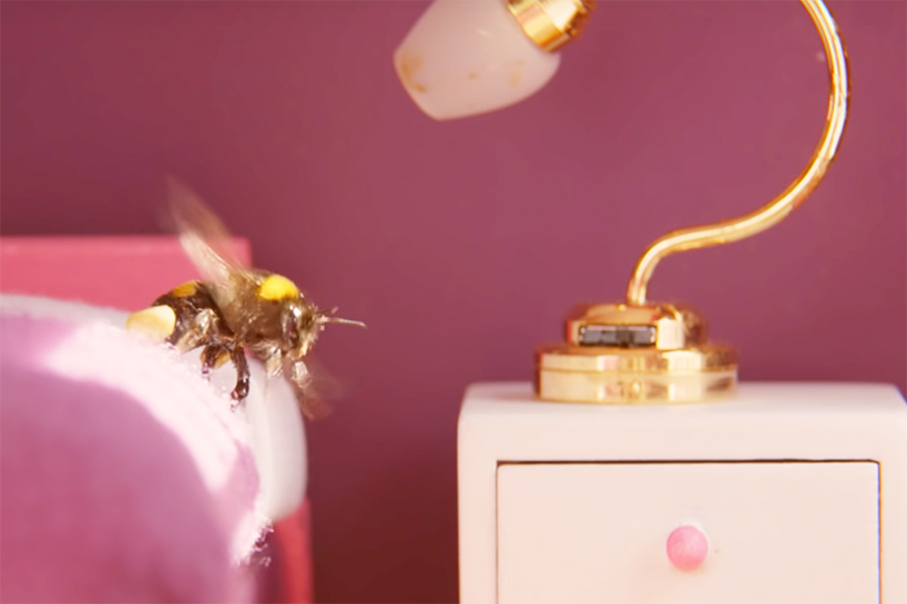 taylors of harrogate bee hotel