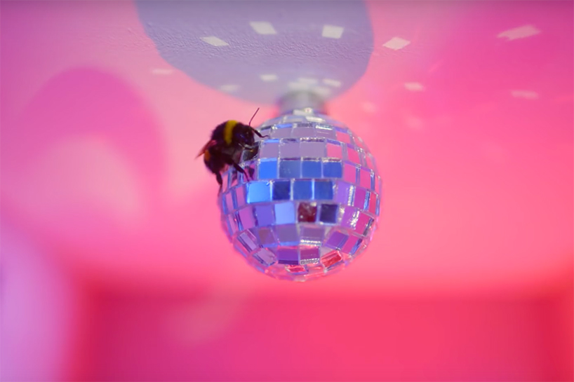 taylors of harrogate bee hotel