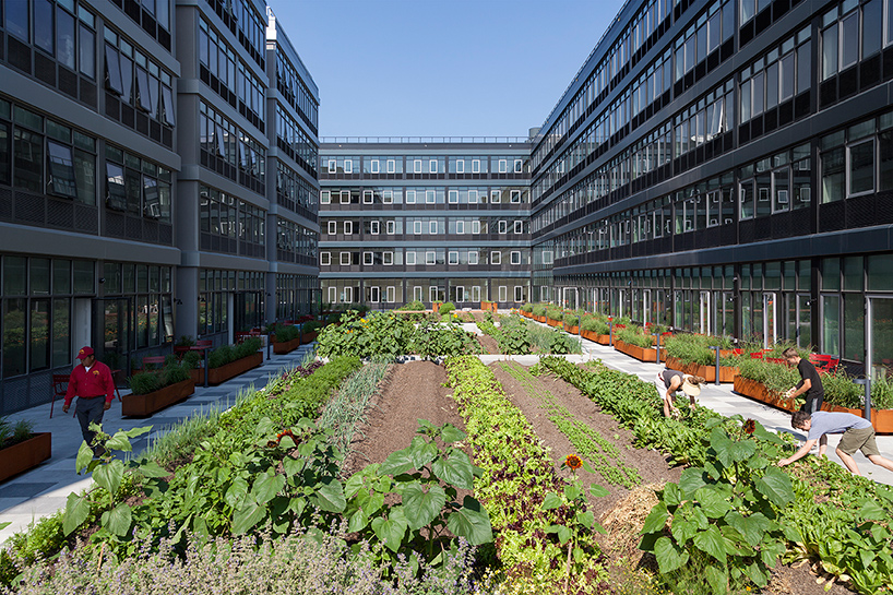 staten island urby includes NY's first residential urban farm