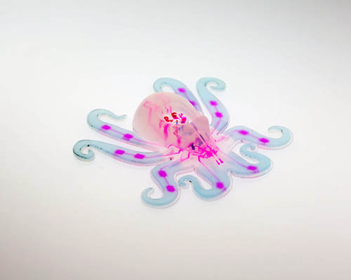 harvard 3D prints the first autonomous octopus robot