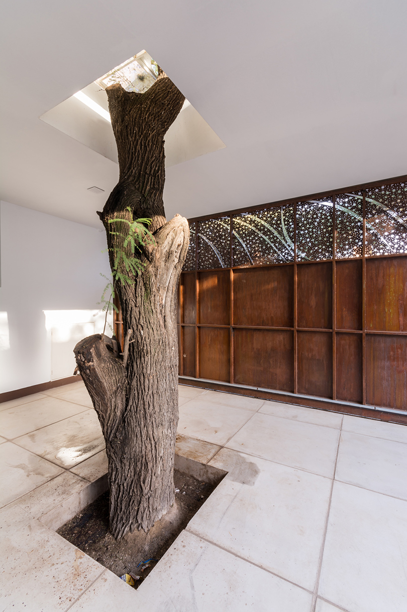FCP-arquitectura-casa-mooe-house-cordoba-argentina-designboom-02