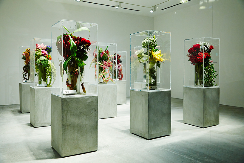 azuma-makoto-drop-time-exhibition-flowers-tokyo-designboom-01