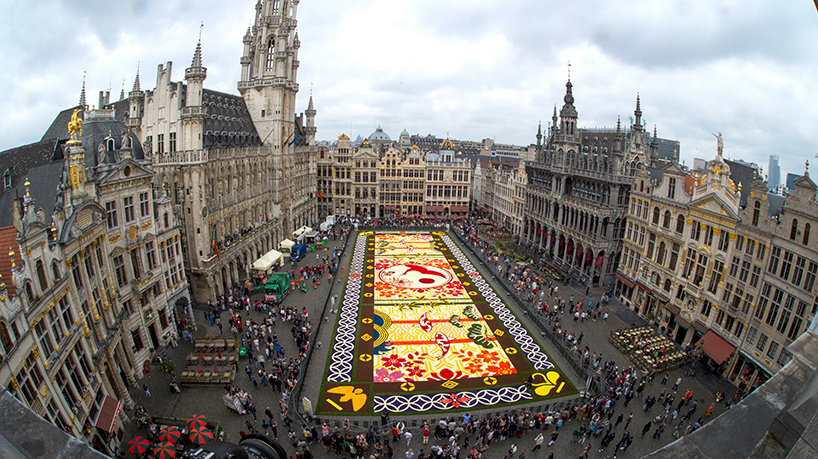 600,000 Blooms Form Flower Carpet At Brussels' Grand Place