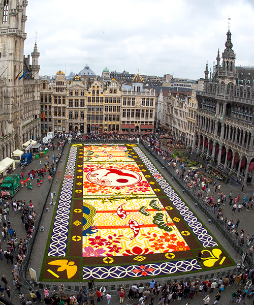 600,000 blooms form japanese-themed flower carpet at brussels' grand place