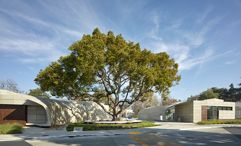 belzberg-architects-kaplan-family-pavilion-city-of-hope-duarte-california-designboom-02