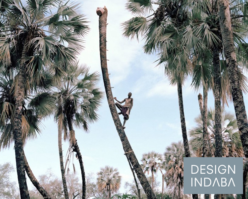 cape town-based photographer kyle weeks documents the dangerous practice of palm wine collecting