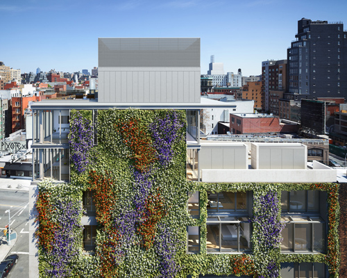 green walls in new york: a roundup of the city's growing number of vertical gardens