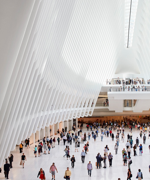 santiago calatrava's soaring oculus WTC in new york captured by hufton + crow