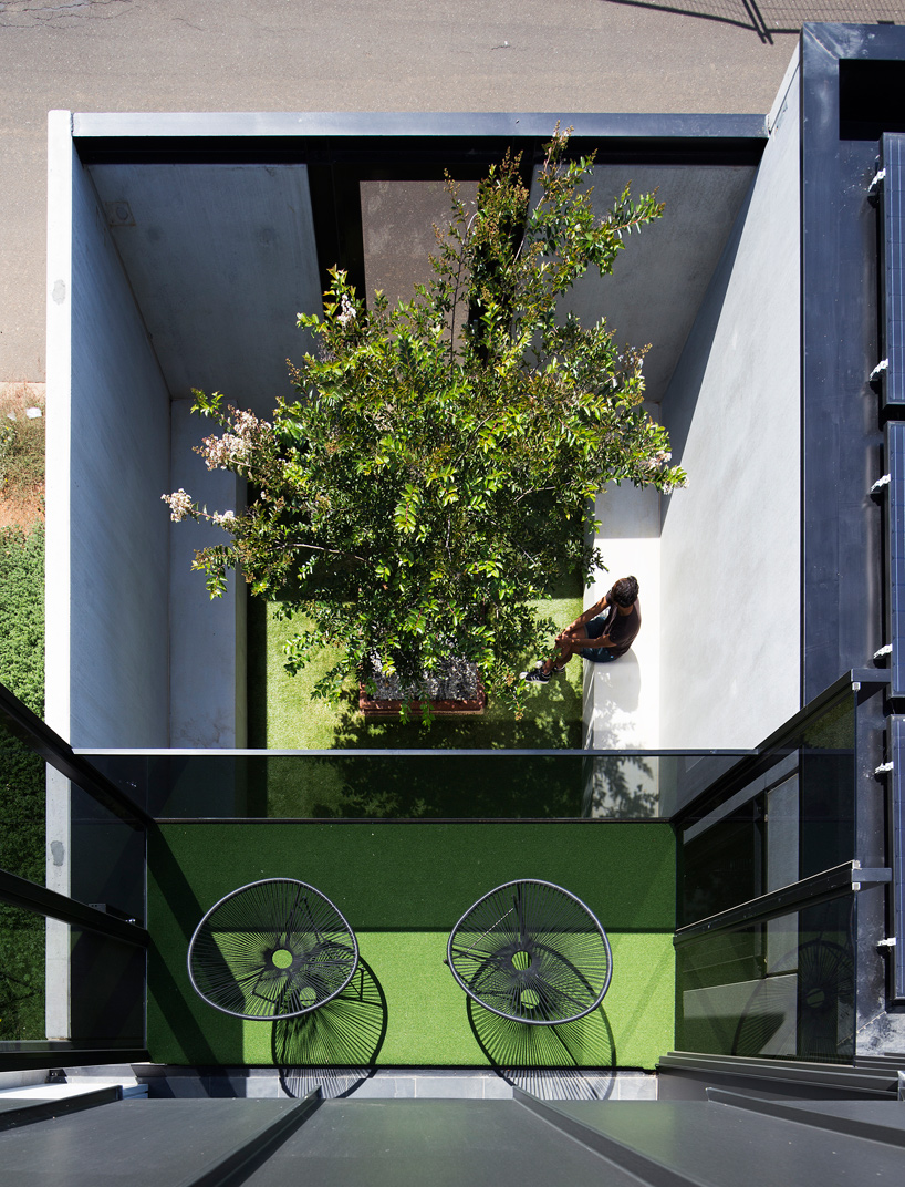 lachlan-shepherd-architects-boston-road-townhouse-designboom-03