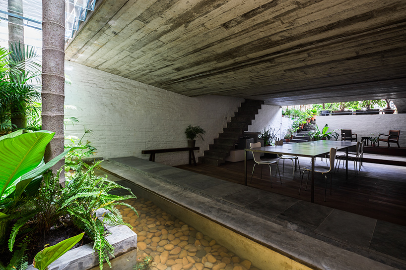 NISHIZAWAARCHITECTS fills its own office in vietnam with lush greenery