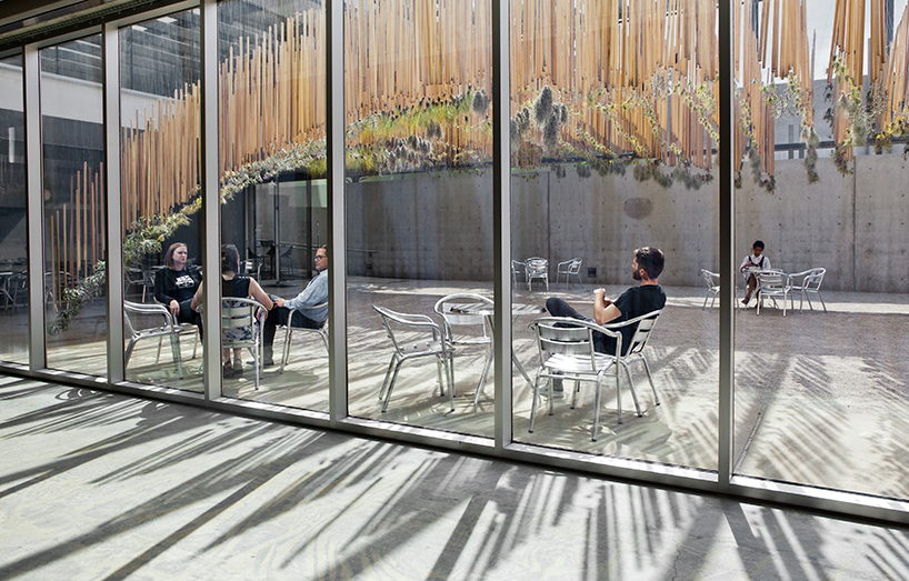 Northpark Interior Scapes — nomad.studio : landscape architecture : design  + art