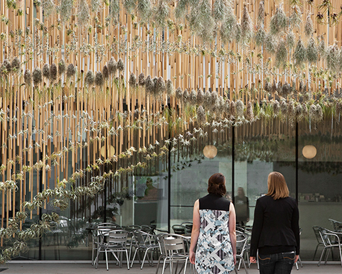 nomad studio suspends an aerial garden at the contemporary art museum of saint louis